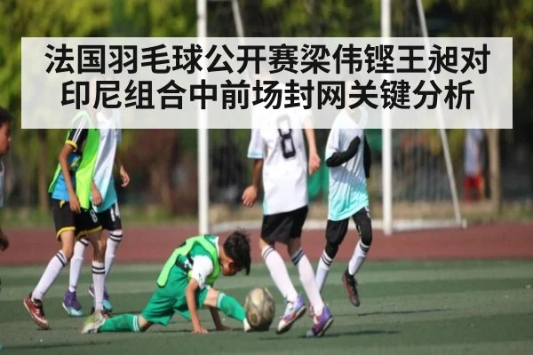 法国羽毛球公开赛梁伟铿王昶对印尼组合中前场封网关键分析